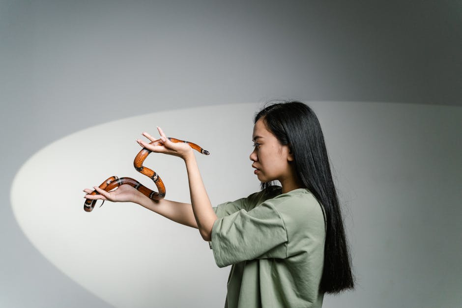 Read more about the article Overcoming the Learning Curve in Workout Programming